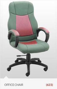 chair-office-delhi-india