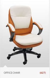 chair-office-delhi-view