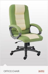 delhi-office-chair-type