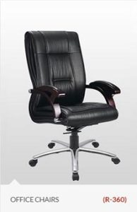 office-chair-delhi-type-view